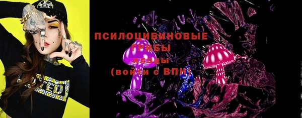 прущие грибы Арсеньев