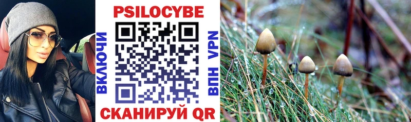 купить наркоту  Мурманск  Галлюциногенные грибы мухоморы 